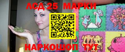 гидропоника Заволжье