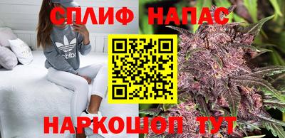 гидропоника Заволжье