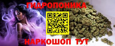 шишки Заводоуковск