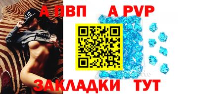 шишки Заводоуковск