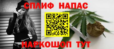 шишки Заводоуковск