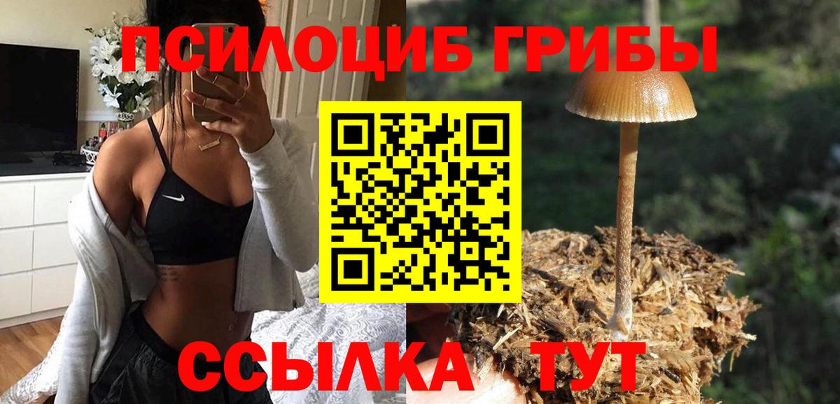 Псилоцибиновые грибы Psilocybine cubensis  Вход с VPN  Магадан  Псилоцибиновые грибы Magic Shrooms 